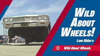 Low Riders | Wild About Wheels