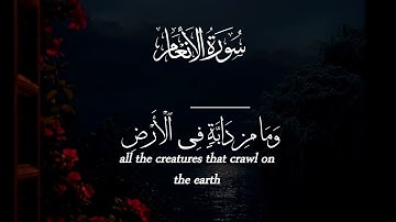 اكتب شيء تؤجر عليه ❤😴 || القارئ طارق محمد 🎧❤️