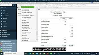 How to extract Trial Balance  in Quickbooks