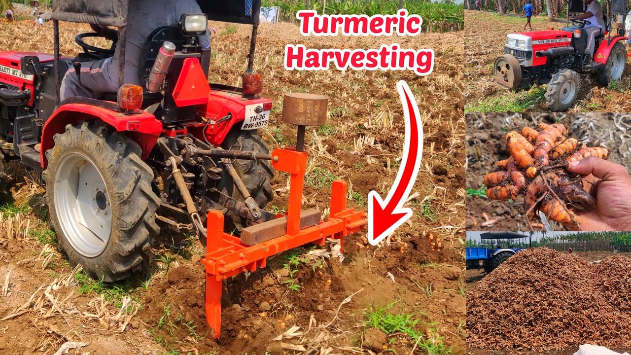Turmeric harvesting | VST Sakthi MT 270 DI Virat 4wd Mini Tractor performance | Agriculture INDIA