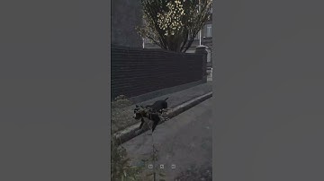 They added Dogs to DayZ