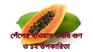 পেঁপে কেন খাবেন পেপের উপকারিতা Benefits of papaya || Kolikata Herbal || কলিকাতা হারবাল
