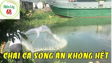 Quăng chài bắt cá trúng đậm bầy cá rô phi|Miền tây 68|