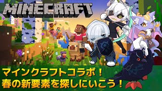 【#Minecraft】ハレシカサーバーマインクラフト！春の新要素を探しにいこう！【#コラボ配信 】