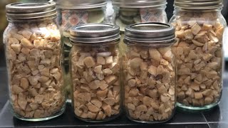 Freeze Dried Garlic | Harvest Right Freeze Dryer | Long Term storage of Garlic