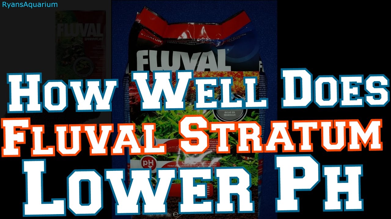 How Well Does Fluval Stratum Lower Ph The Stratum Experiment Youtube