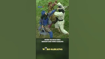 Murid Siluman Biru Tak Ada Cari Masalah Dengan Melawan Wiro Sableng #Wirosableng #shorts