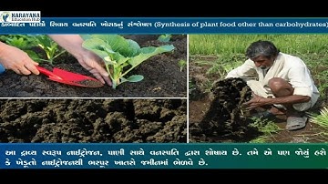 ધોરણ 7 વિજ્ઞાન પાઠ 1 વનસ્પતિમાં પોષણ Class 7 Science Ch 1 | Nutrition in Plants | Dhoran 7 Vigyan 