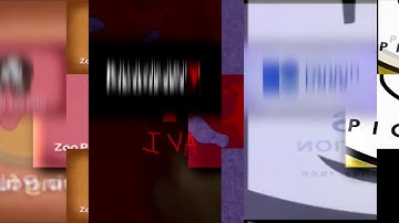 4 shuric scans are with slides (megan woodmansee