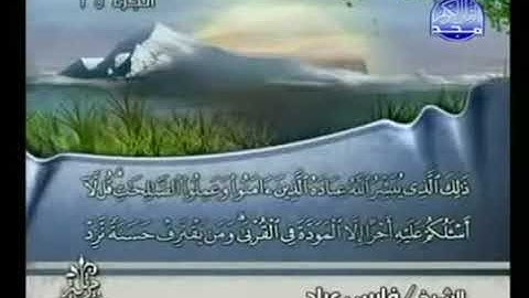 الجزء الخامس والعشرون || للقارئ فارس عباد