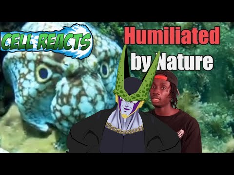 Squidward Has 9 Brains!? Cell Reacts to Why It Sucks to be Earth's Oldest Genius