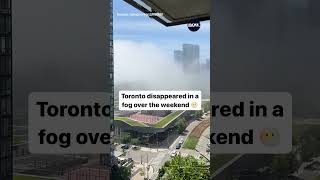 Toronto disappeared in a fog over the weekend: Here’s the science behind it