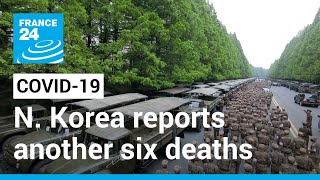 North Korea reports uptick in suspected Covid-19 cases • FRANCE 24 English