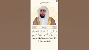 ماهر المعيقلي سورة البقرة آية 265 (كل يوم آية) | Mahmoud Okasha