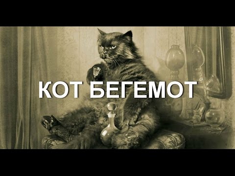 КОТ БЕГЕМОТ