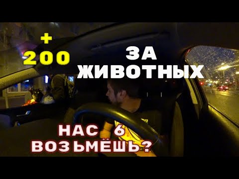 БЕРУ 200 РУБЛЕЙ ЗА ЖИВОТНЫХ В ТАКСИ... МИКРО КОНФЛИКТЫ