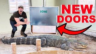 I Built Automatic Doors For My Alligators