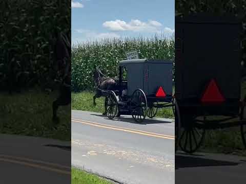 Visiting the Amish