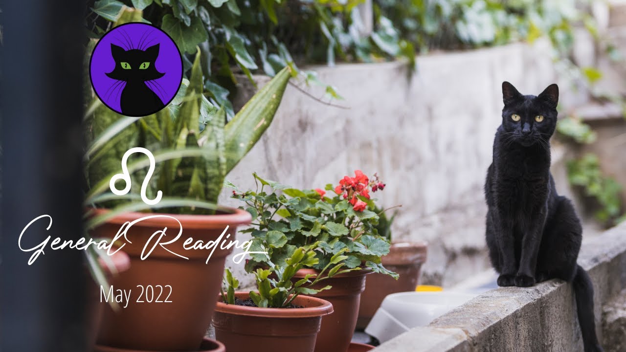 LEO  ♌️ - THIS PERSON TOOK YOU FOR GRANTED AND NOW THEY WANT TO COME BACK???