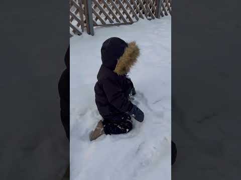 кусочек нашего мини отпуска #зима #shortsfeed #december #vlog #vloag