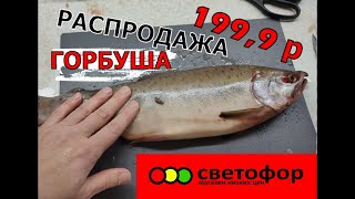 РАСПРОДАЖА рыба горбуши из Светофора по 199,9 руб. Стоит ли брать  ...