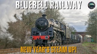 Bluebell Railway New Years Day Steam Up