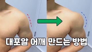 대포알 어깨 만드는 방법 (뻔한소리 X)