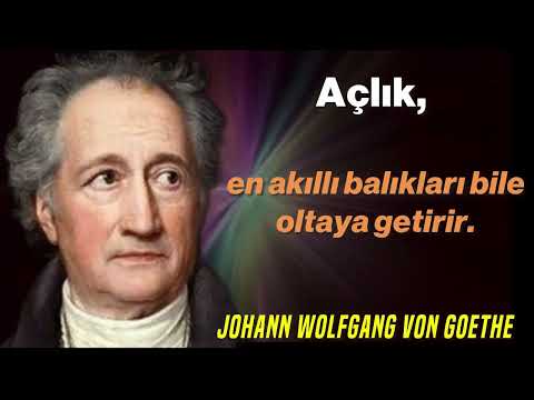 GOETHE YAŞLANMADAN ÖNCE BİLMENİZ GEREKEN ZAMANSIZ SÖZLER