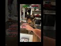 #viral #funny #foryou #shortvideo #funny #funnymoments #cat #cats
