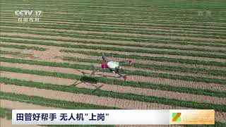 [中国三农报道]田管好帮手 无人机“上岗”|农业致富经 Agriculture And Farming
