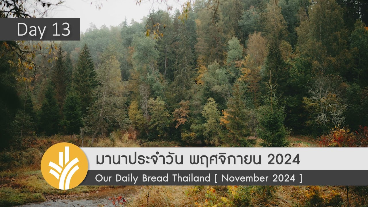 ความเมตตาที่ไม่อาจวัดได้ / Unmeasured Kindness 