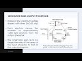 Fluoroscopy: Image Intensifier System