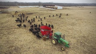 Cow/Calf Operation Willer & Ekern Farms: Jaylor 5425 TMR Mixer