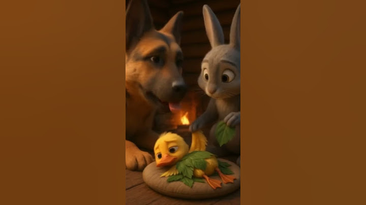 El patito que fue atropellado… y encontró una nueva familia 🥺💛