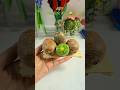 DIY Realistic Kiwi 🥝 #shorts #viral #viralshort #shortsfeed #trending #youtubeshorts #diy