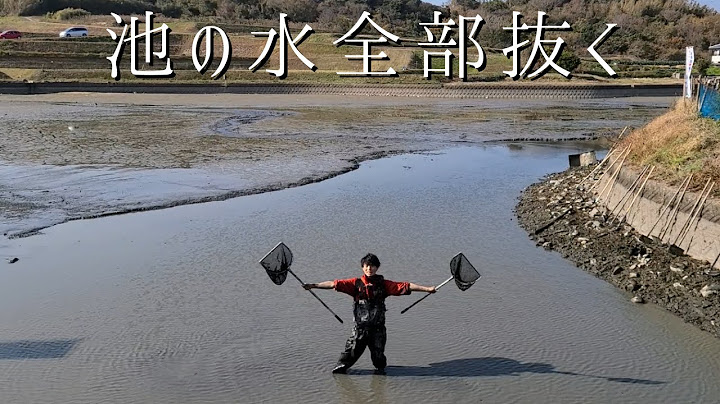 農業用の池の水ぜんぶ抜くと異常な数の外来種が獲れてヤバすぎた！！【池干し、かいぼり】