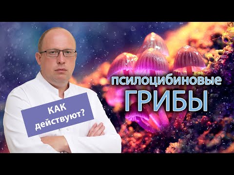 🍄 Как действуют псилоцибиновые грибы: в чем опасность? 💀