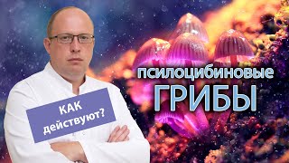 🍄 Как действуют псилоцибиновые грибы: в чем опасность? 💀