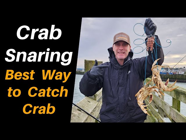 Crab Snaring: Best Way to Catch Crab 