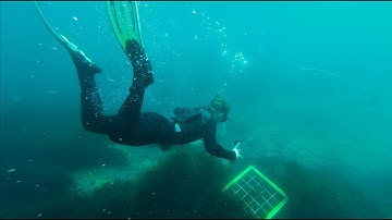 Annual Field Trip – Bachelor in Environmental Sciences for Sustainability