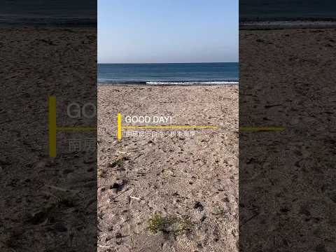 3月22日(日)白浜町根本海岸。この季節の海岸は人が少なく静かでいいですね。