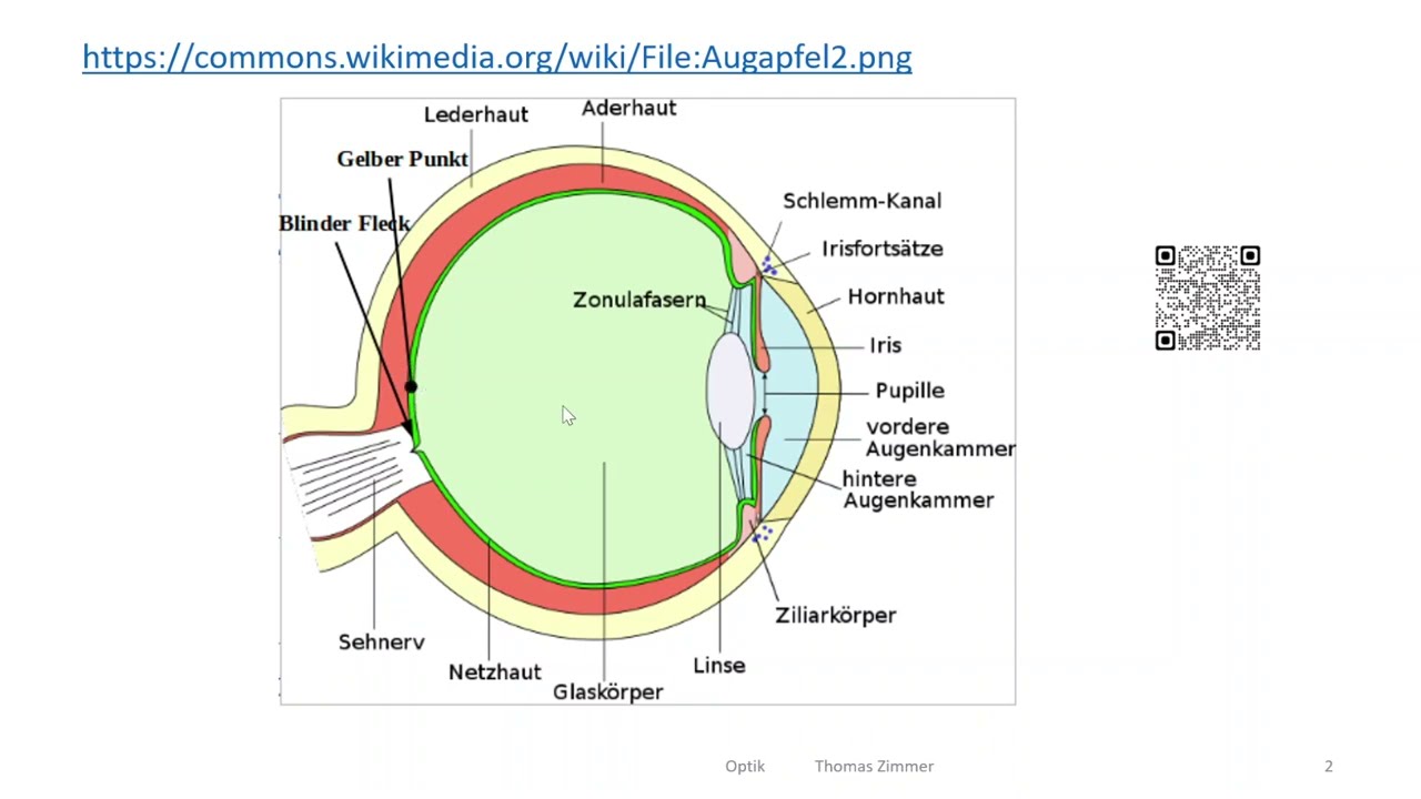 Optik 18: Auge Teil I - Aufbau, das optische System, Normal- und Fehl- und Alterssichtigkeit