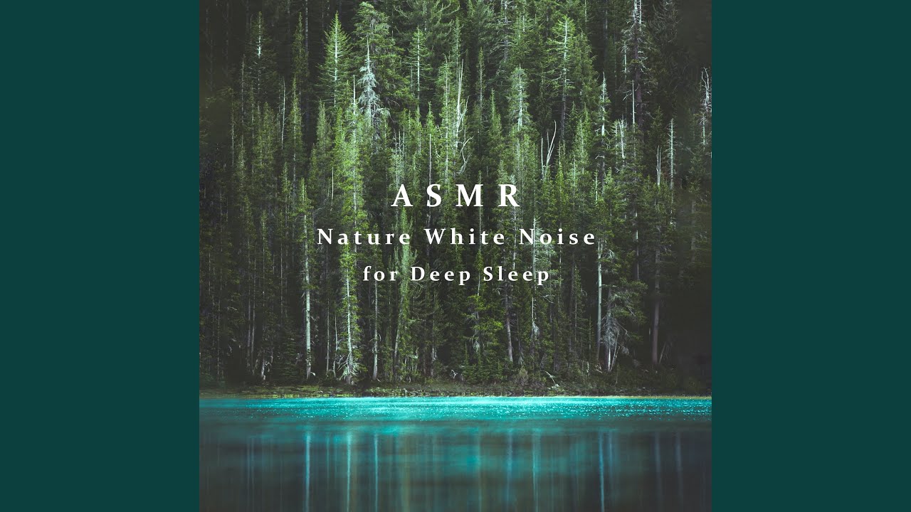 YouTubeで平衡 (頌缽療癒雨聲)を視聴