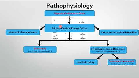Birth Asphyxia/Hypoxic ischemic Encephalopathy