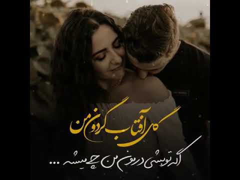     مجتبی دربیدی گل آفتابگردان