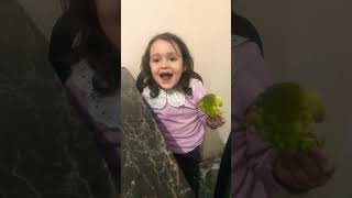 Aylanın Brokoli Sevdası