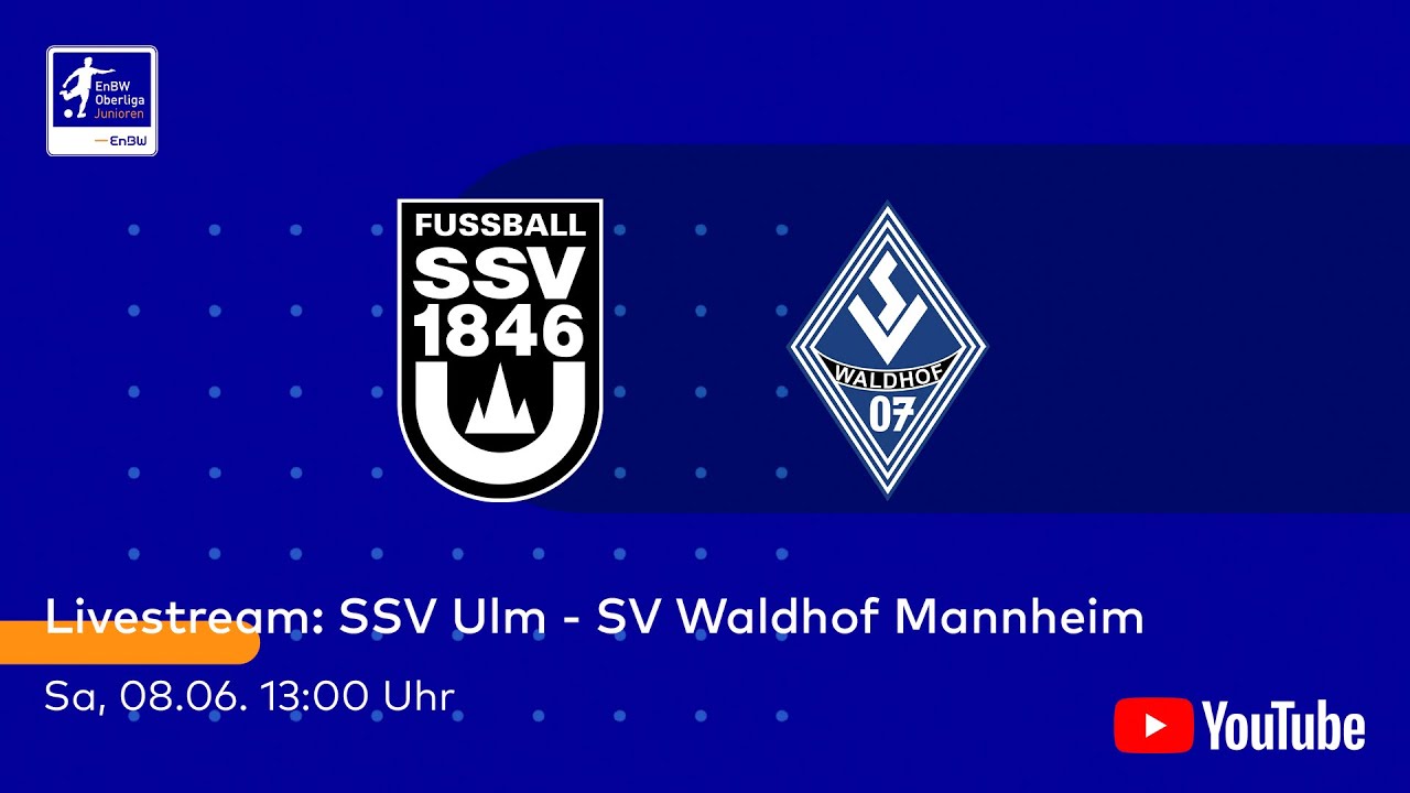 Programme De Match TSV Eintracht Stadtallendorf Vs SV Waldhof Mannheim - RL Südwest 2017/18