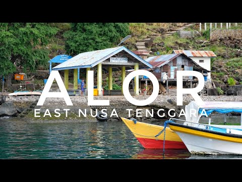 This is ALOR ISLAND in East Nusa Tenggara, Indonesia | Stunning coastlines, diving & a dugong 🇮🇩