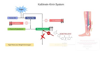How Sebetralstat Works in Hereditary Angioedema | PHARMACOLOGY Explained