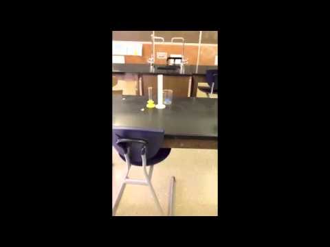 Block 3: Science Rules #23 and #25